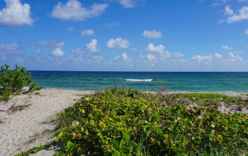Dr. Von D. Mizell-Eula Johnson State Park, Florida, USA